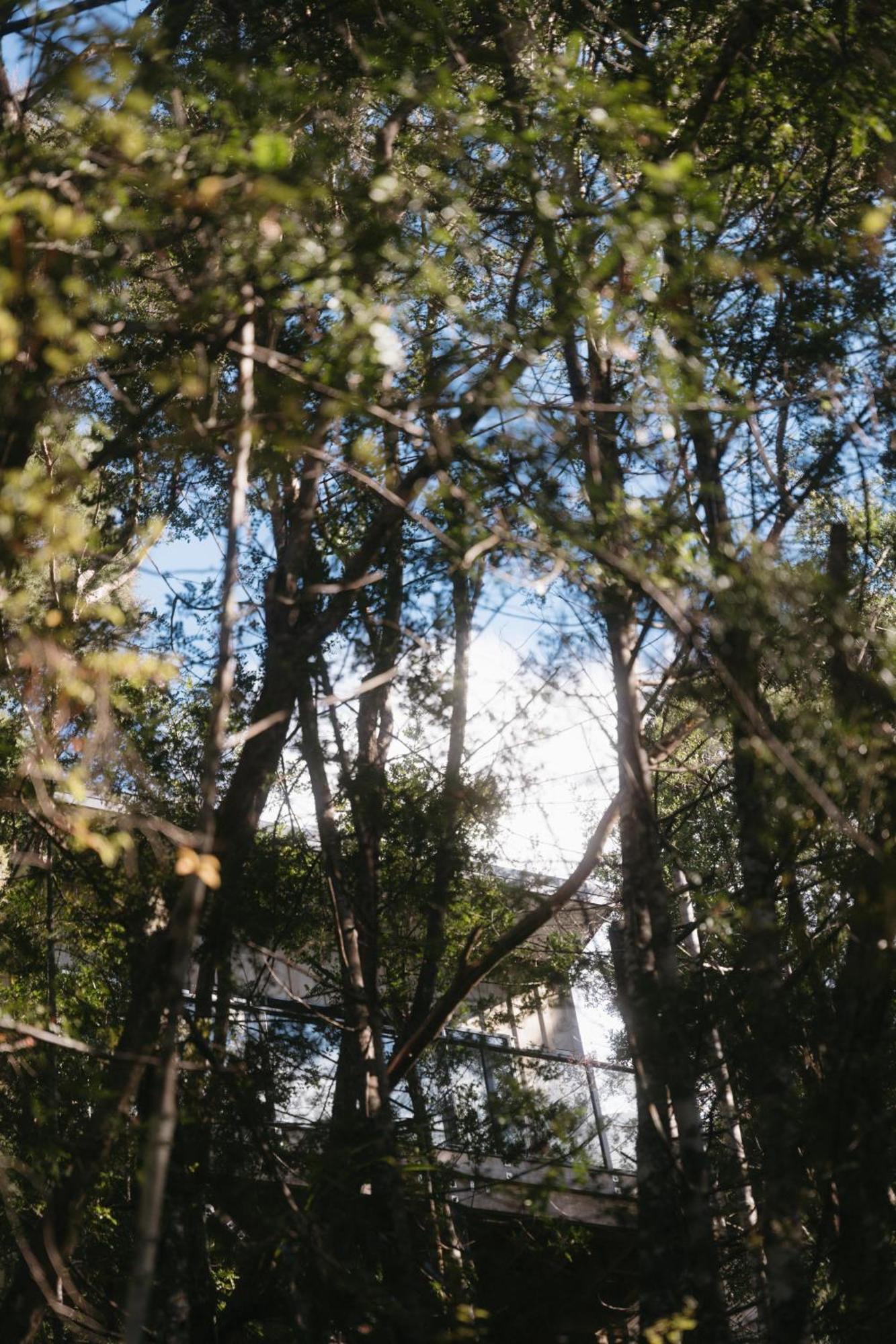 Opua Treetop Tranquility At Rekindle Tree Houses מראה חיצוני תמונה
