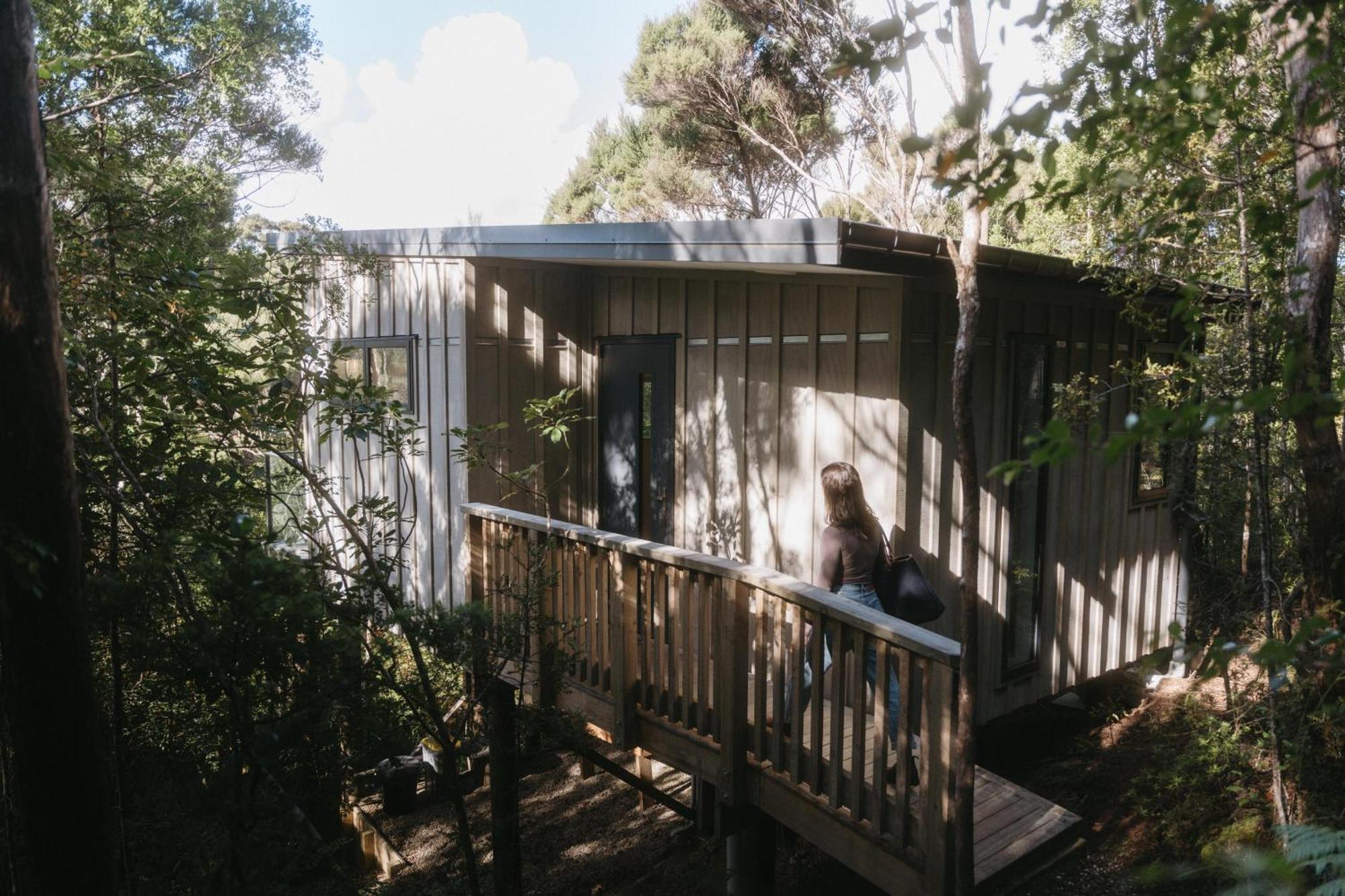 Opua Treetop Tranquility At Rekindle Tree Houses מראה חיצוני תמונה